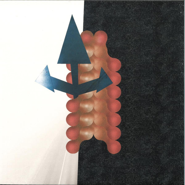 Wata Igarashi & Polygonia - Cross Passage - Reclaim Your City - RYCL024